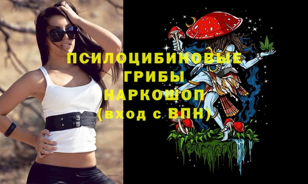 не бодяженный Абаза