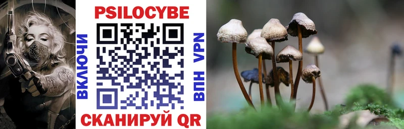 Галлюциногенные грибы Cubensis  цены наркотик  Каргополь 